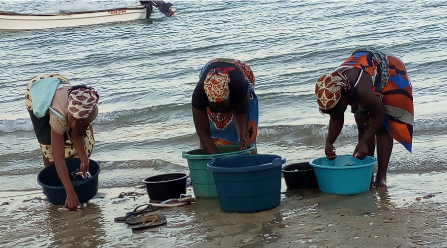 mujeres lavando su compra de pescados
