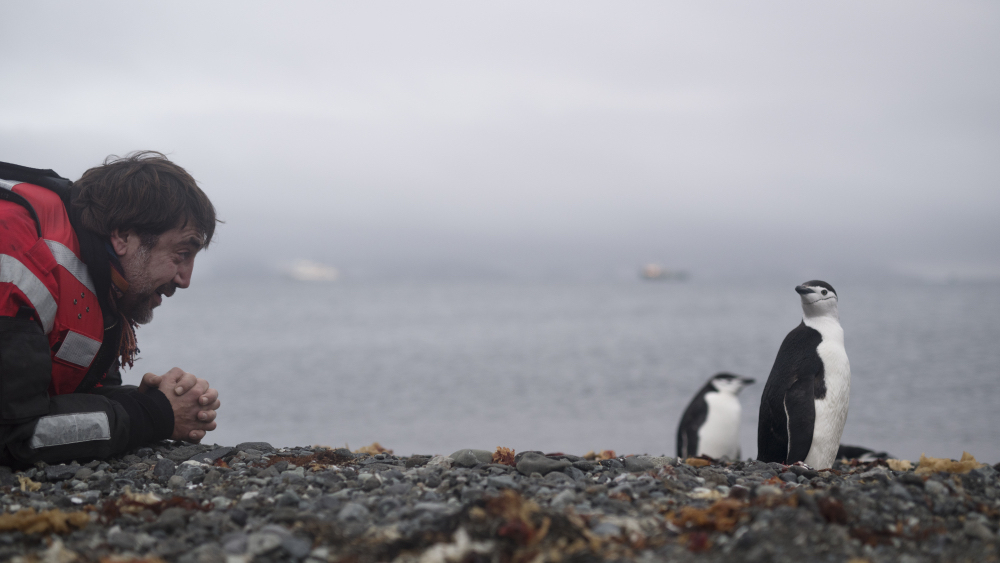 Javier Bardem saludando a un pingüino barbijo a su llegada a la Isla King Georg, en el Artico, mientras espera reunirse con Greenpeace en su mítico barco Arctic Sunrise. EPA/CHRISTIAN ASLUND 